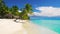 Palm tree and tropical exotic island beach, seamless never ending footage. Loop video. Punta Cana, Saona, Dominican Republic