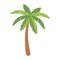 Palm tree tropical nature exotic botanical isolated design icon