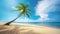 Palm tree on tropical sand beach with blue sky and turquoise sea