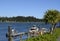 Palm tree at the Ucluelet harbour