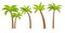 Palm tree vector island coconut cartoon icon. Palmtree island desert isolated tropical icon