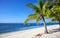 Palm tree on white sand tropical beach on Malapascua island, Philippines