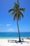 Palm tree on a white sand tropical beach on Malapascua island, Philippines