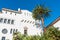 A palm tree and a white Spanish architecture style building with ornate windows and trim under a beautiful blue sky