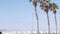 Palm tree and wooden Crystal pier with cottages, California ocean beach, USA.