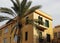 Palm tree and yellow house with green shutters on windows and balconies in the center of Tel Aviv.