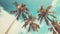 Palm trees against blue sky, Palm trees at tropical coast, vintage toned and stylized, coconut tree,summer tree ,retro