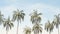 Palm trees against blue sky. Tropical nature, warm summer day. Minimalist, retro style, faded image. Generative AI