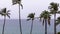 Palm trees against ocean and grey gloomy rainy sky