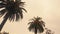 Palm trees against the sky in sepia style color video footage. Tropical Palm Trees On Sky Background