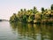 Palm trees at Alleppey Kerala houseboats Alappuzha Laccadive Sea Indian state Kerala known for wooden houseboats