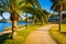 Palm trees along a path in Daytona Beach, Florida.