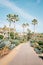 Palm trees along a path at Treasure Island Park, in Laguna Beach, Orange County, California