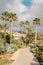 Palm trees along a path at Treasure Island Park, in Laguna Beach, Orange County, California