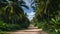 Palm trees along the road.