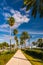 Palm trees along a sidewalk in Clearwater Beach, Florida.