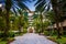 Palm trees along a walkway in downtown Saint Petersburg, Florida