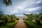 Palm trees along a walkway, in Virginia Beach, Virginia.