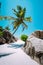 Palm trees on Anse Source d`Argent, La Digue island, Seychelles. Vacation holiday exotic location concept