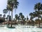 Palm trees around the fountain against the backdrop of a mosque. Jordan, Aqaba