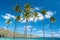 Palm trees with azure blue sky with clouds in background