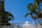 Palm trees balcony cloudy and sky