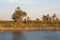 Palm Trees on the Bank of the River Nile, Egypt