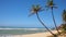 Palm trees and beach