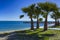 Palm trees on a beach in Almunecar, Andalusia region, Costa del