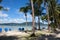 Palm trees, beach and deck chairs