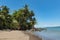 Palm trees on the beach at Drake Bay, Costa Rica