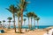 Palm trees on the beach in Egypt on the Red Sea