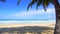 Palm trees beach front at beautiful nature landscape of blue sky and sea view seascape Morning soft sunlight shine on green coconu