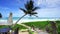 Palm trees beach front at beautiful nature landscape of blue sky and sea view seascape Morning soft sunlight shine on green coconu