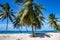 Palm trees on the beach, Grande-Terre, Guadeloupe, Caribbean