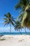Palm trees on the beach, Grande-Terre, Guadeloupe, Lesser Antilles, Caribbean
