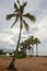 Palm trees at the beach of Haleiwa, Oahu, Hawaii