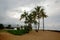 Palm trees at the beach of Haleiwa, Oahu, Hawaii