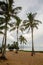 Palm trees at the beach of Haleiwa, Oahu, Hawaii