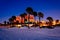 Palm trees on the beach at night in Clearwater Beach, Florida.