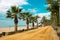 Palm trees on beach promenade in Calella on Costa Brava Spain.