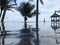 Palm trees and beach rescue tower`s reflection in the infinity pool