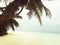 Palm trees on the beach. Vintage background