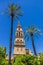 Palm trees and belfry of the mosque cathedral in Cordoba