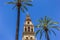 Palm trees and belfry of the mosque cathedral in Cordoba