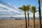 Palm trees on Benidorm beach