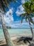 Palm Trees on the Blue Lagoon beach at Rangiroa Atoll, French Polynesia, in the South Pacific