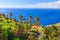 Palm trees blue ocean and mountains of La Gomera island