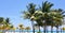 Palm trees, blue sky and bright aqua ocean water