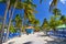 Palm trees and blue sunbeds on beautiful beach